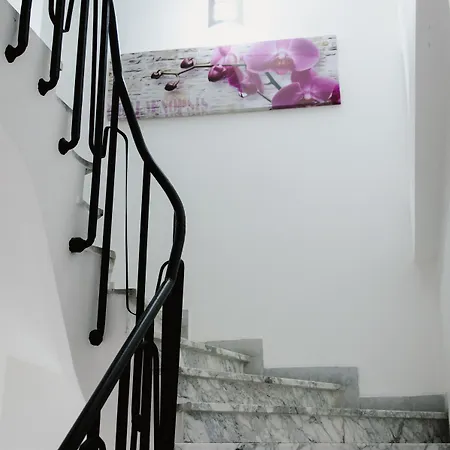 Hotel Des Arcades 3*